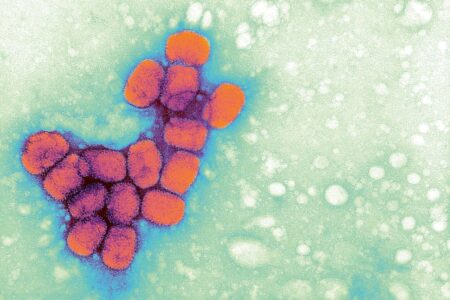 Uncovered Six Previously Overlooked Smallpox Samples Discovered in US Laboratory