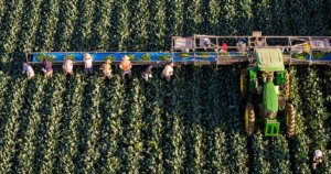 What Will Happen to American Salads as Colorado River Water