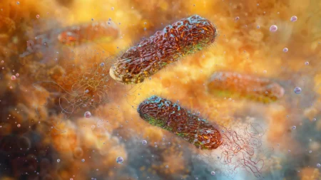 160 million year old protein demonstrates potent activity against superbugs