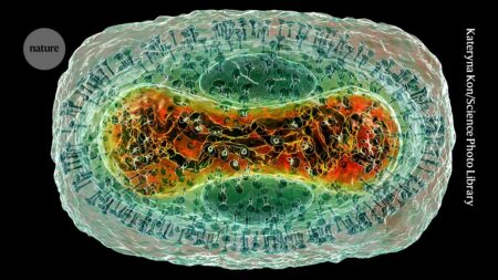 AlphaFold goes viral Protein complexes of common viruses added to
