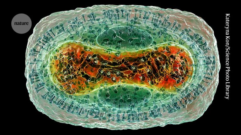 AlphaFold goes viral: Protein complexes of common viruses added to database AlphaFold goes viral Protein complexes of common viruses added to