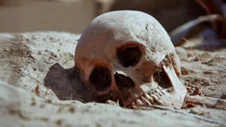 Ancient DNA uncovers the lasting impact of the Black Death plague for 400 years Ancient DNA uncovers the lasting impact of the Black Death