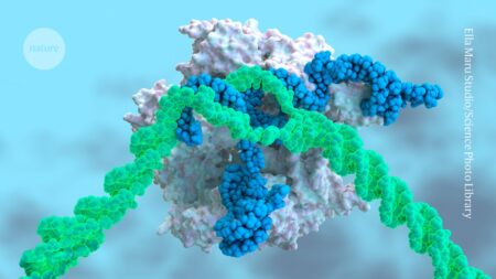 Bigger than CRISPR A guide to modern genome editors