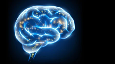 Blood Thinners May Have Unexpected Benefits for Alzheimer’s Patients Blood Thinners May Have Unexpected Benefits for Alzheimers Patients