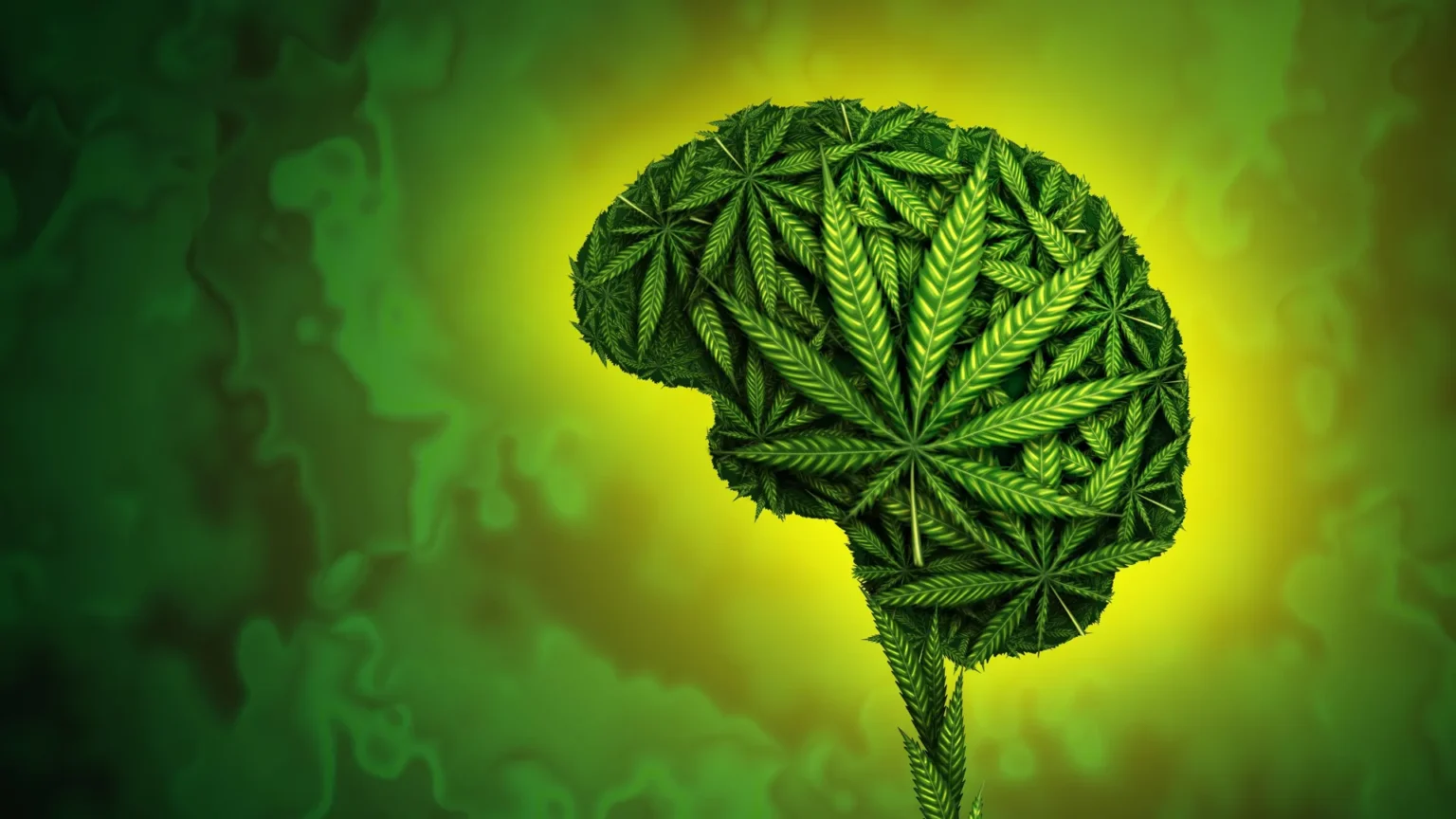 Cannabis users more prone to violence study reveals