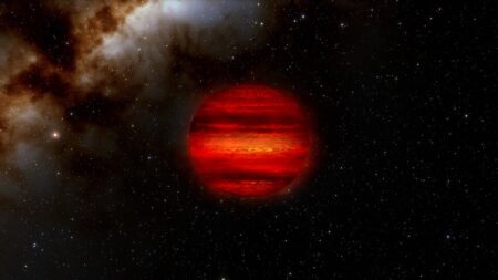 Celestial Objects at the Edge of Planets and Stars A
