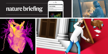 Daily Briefing Aging of Old Minds in Young People