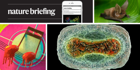 Daily Briefing Bats evolved in Europe