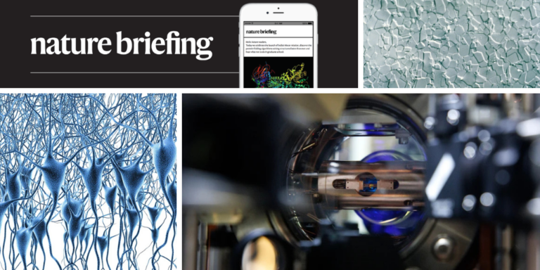 Daily Briefing: Will AI really cause humanity’s downfall? Daily Briefing Will AI really cause humanitys downfall