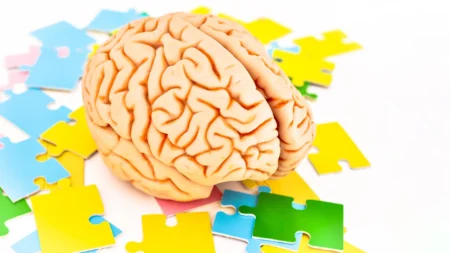 Diagnoses of ADHD and autism are rapidly increasing Study sheds