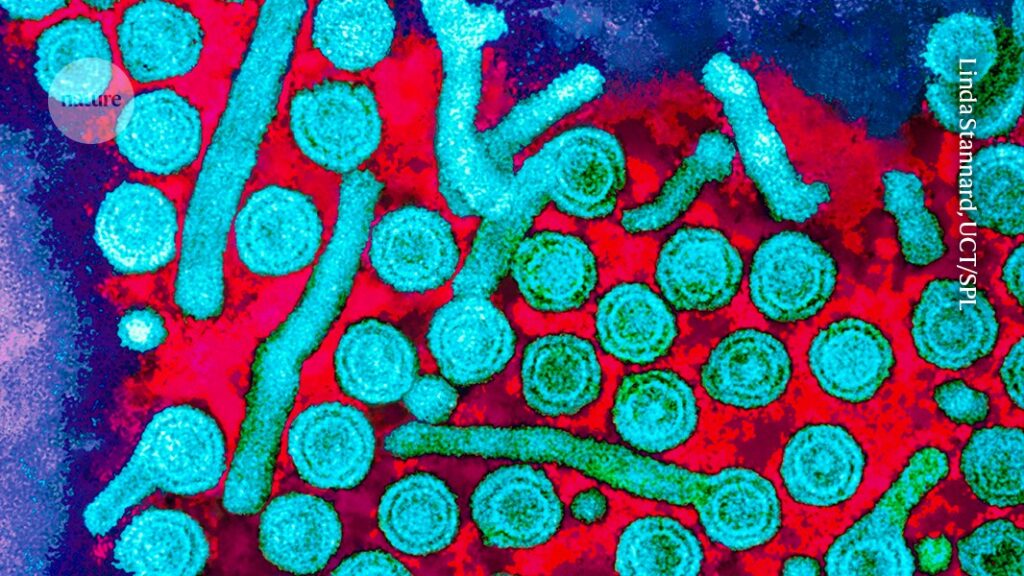 Epigenetic Editing Genetic Tagging Technology Eliminates Hepatitis B Virus