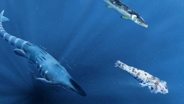 Evidence of Deadly Attack Found in Fossils of Giant Squid-Like Creature from the Cretaceous Period Evidence of Deadly Attack Found in Fossils of Giant Squid Like
