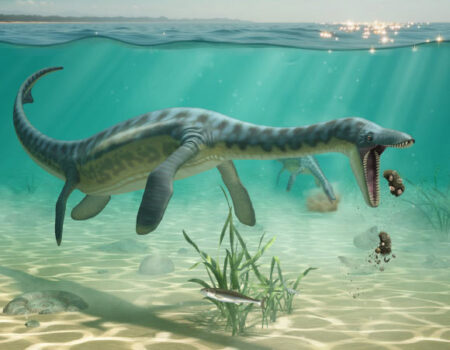 Fossilized vomit reveals how plesiosaurs ate on the ocean floor
