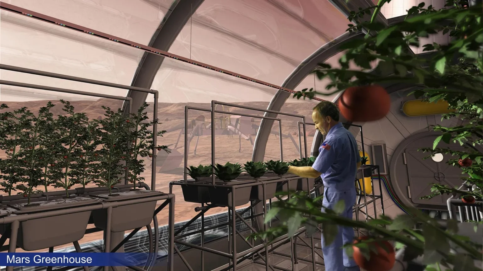 Fungi Secret Growing Food Mars