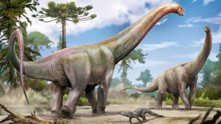Giant New Dinosaur Discovered Under Construction Site in Brazil