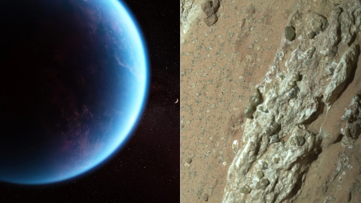 Have we found alien life Hundreds of scientists weigh in
