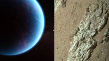 Have we found alien life Hundreds of scientists weigh in