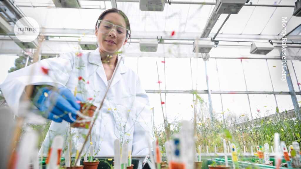 How research funding took me from lab to leadership