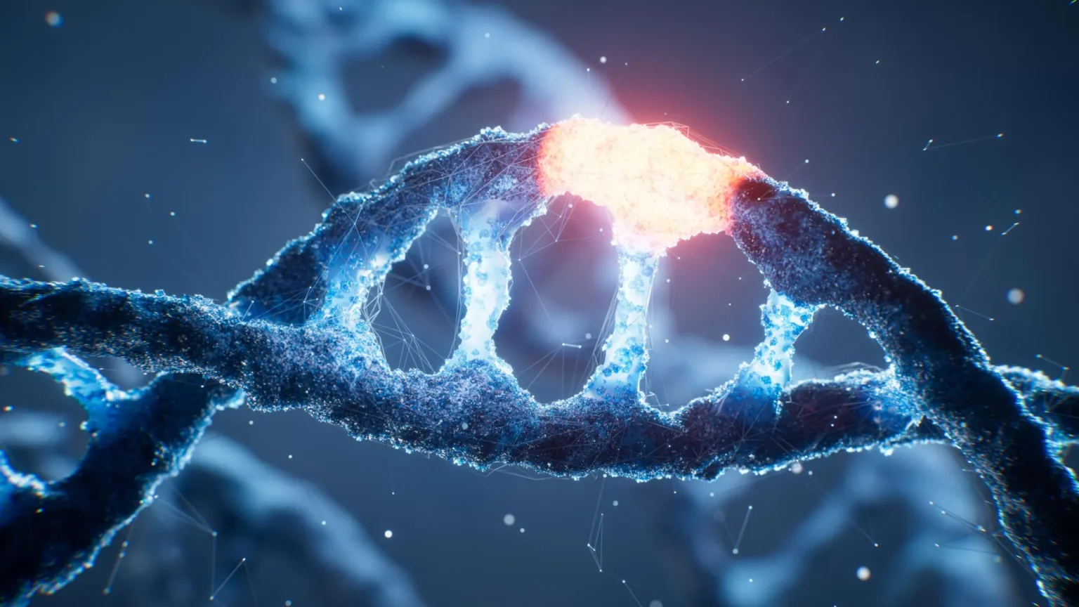 Life Uses Four DNA Letters Scientists Achieved Only Eight Results