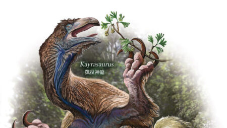 New Therizinosaur Dinosaur Unearthed in China