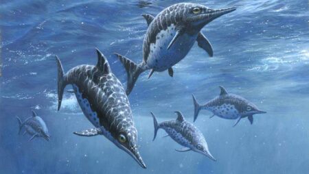 New study confirms detailed ribs in ichthyosaurs