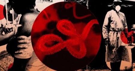 Organizations Concerned About Ebola Outbreak