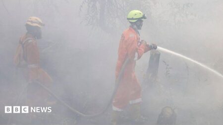 Over 170000 respiratory infections recorded in Indonesia due to haze