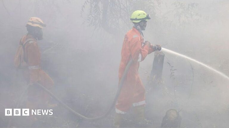 Over 170,000 respiratory infections recorded in Indonesia due to haze Over 170000 respiratory infections recorded in Indonesia due to haze