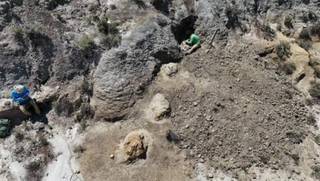 Paleontologists discover trajectory of first adult Tyrannosaurus rex