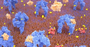 Pancreatic Cells Treating Diabetes Through Genetic Modification Pancreatic Cells Treating Diabetes Through Genetic Modification