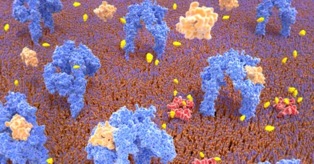 Pancreatic Cells Treating Diabetes Through Genetic Modification Pancreatic Cells Treating Diabetes Through Genetic Modification