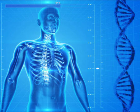 Personality Genetics Mapped in Millions A Breakthrough in Scientific Research