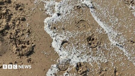 Quarter of nurdles removed Tyne spill