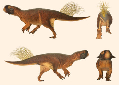Rare Dinosaur Fossil Unearthed from 115 Million Year Old Deep Drill Core in