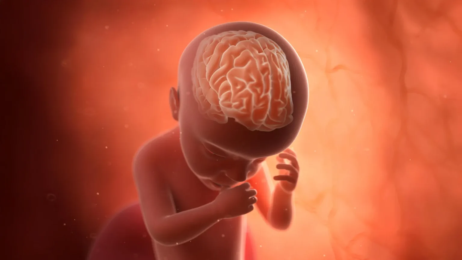 Rare Pregnancy Infection Triples Autism Risk