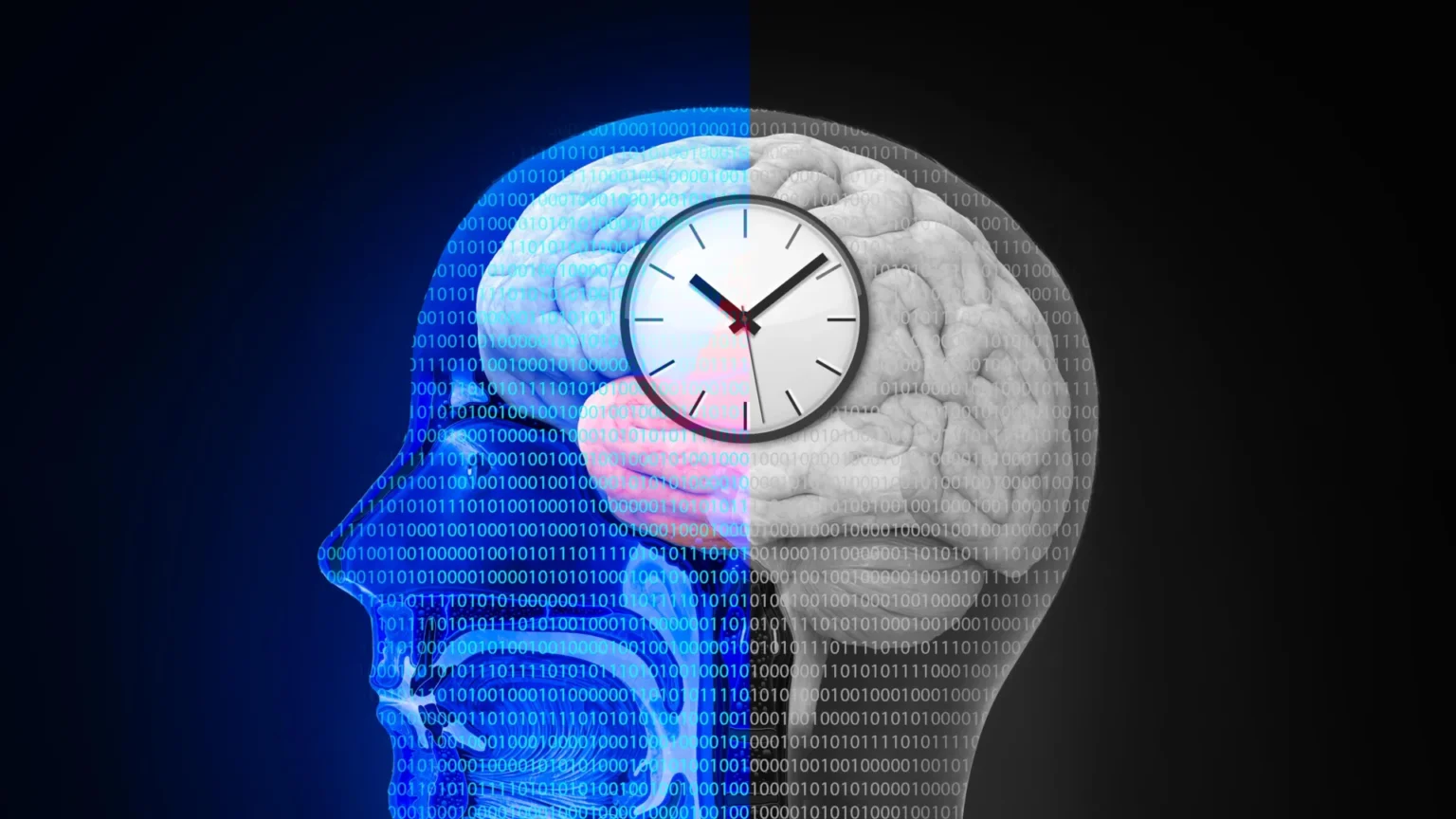 Reset Your Body Clock to Aid Stroke Recovery