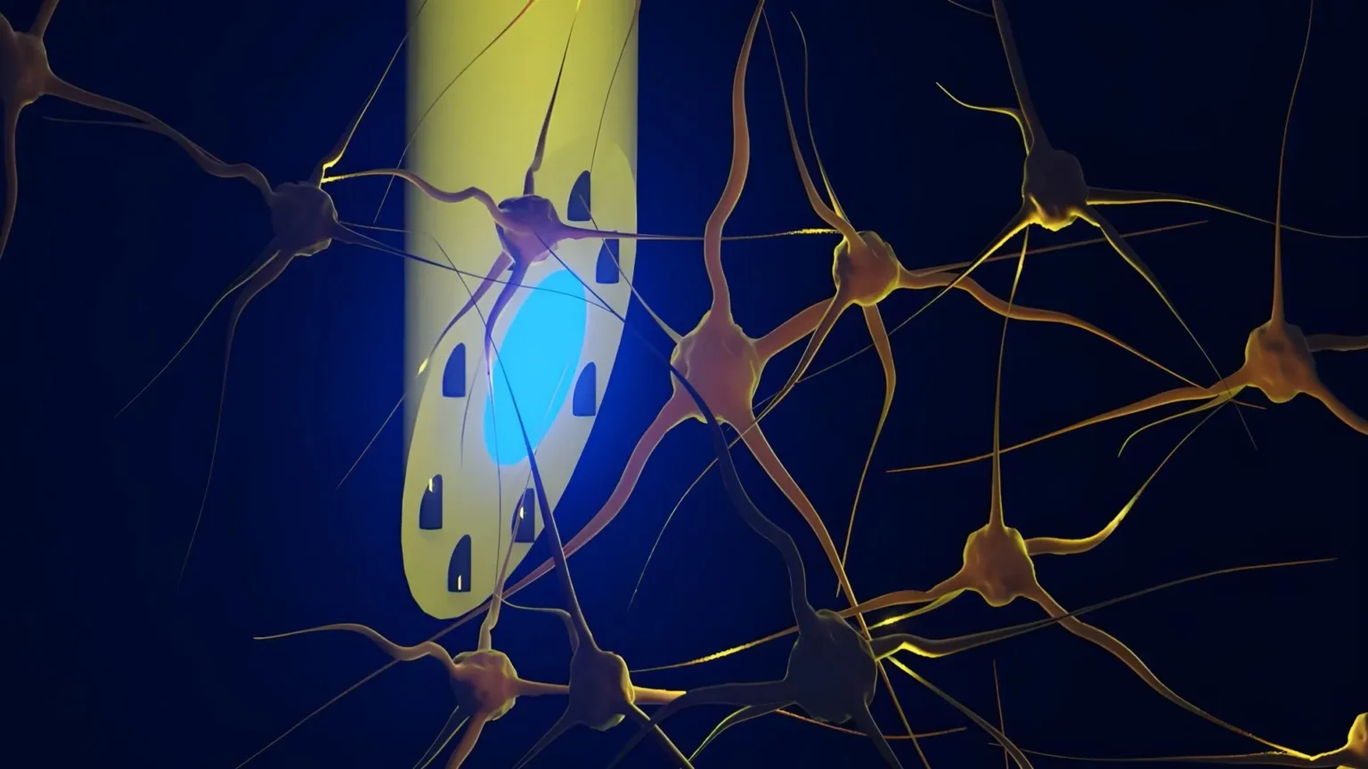 Scientists Develop Needle Thin Brain Implant with Triple Functionality