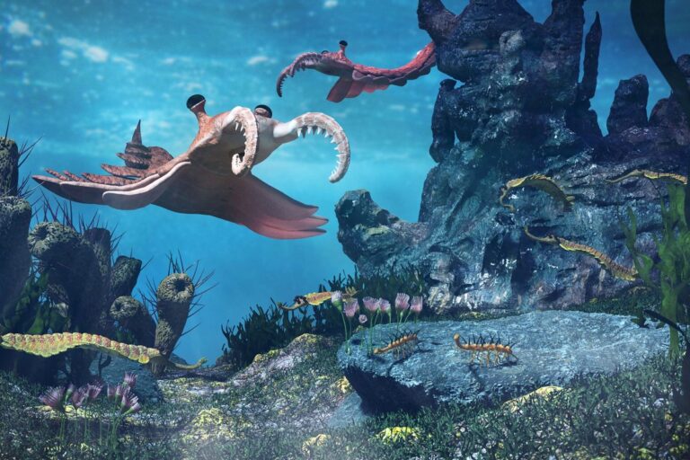 Scientists suggest that the evolution of life may be attributed