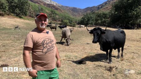 Spain is grappling with climate change on multiple fronts
