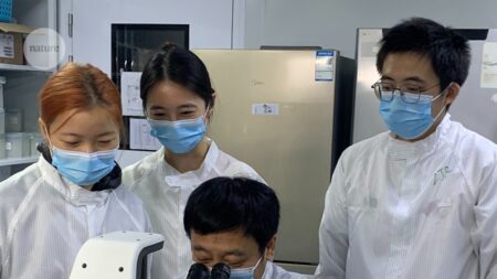 Stem Cell Therapy for Autoimmune Diseases Enters a New Phase
