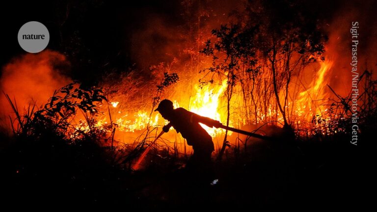 The Worst El Nino in Recorded History How Should Governments