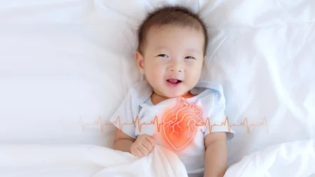 Tiny Cellular Antennas Why Some Babies are Born with Heart
