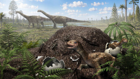 Titanosaurus nested far south of the equator fossilized eggshells reveal