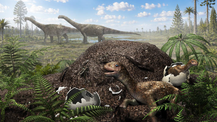 Titanosaurus nested far south of the equator: fossilized eggshells reveal Titanosaurus nested far south of the equator fossilized eggshells reveal