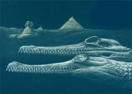 45 million year old crocodile skull from Egypt named Helgavialis