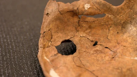 75000 Year Old Neanderthal Man Likely Killed by Spear Aimed at His