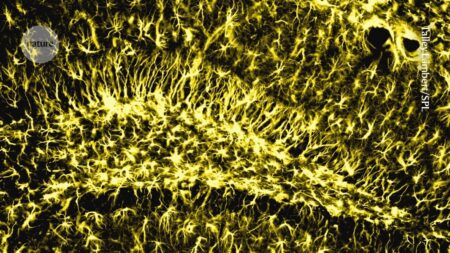 Activating brain enzyme for stronger memory as you age