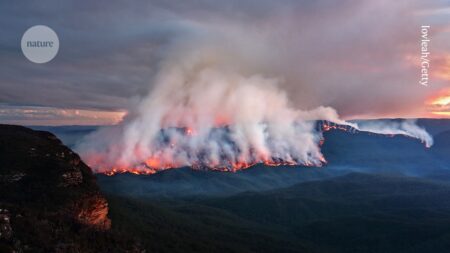 Australias bushfires worsened after British colonization why it happened