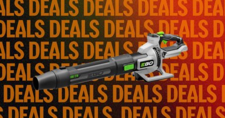 Best Leaf Blowers We Tested for Halloween Yard Cleanup