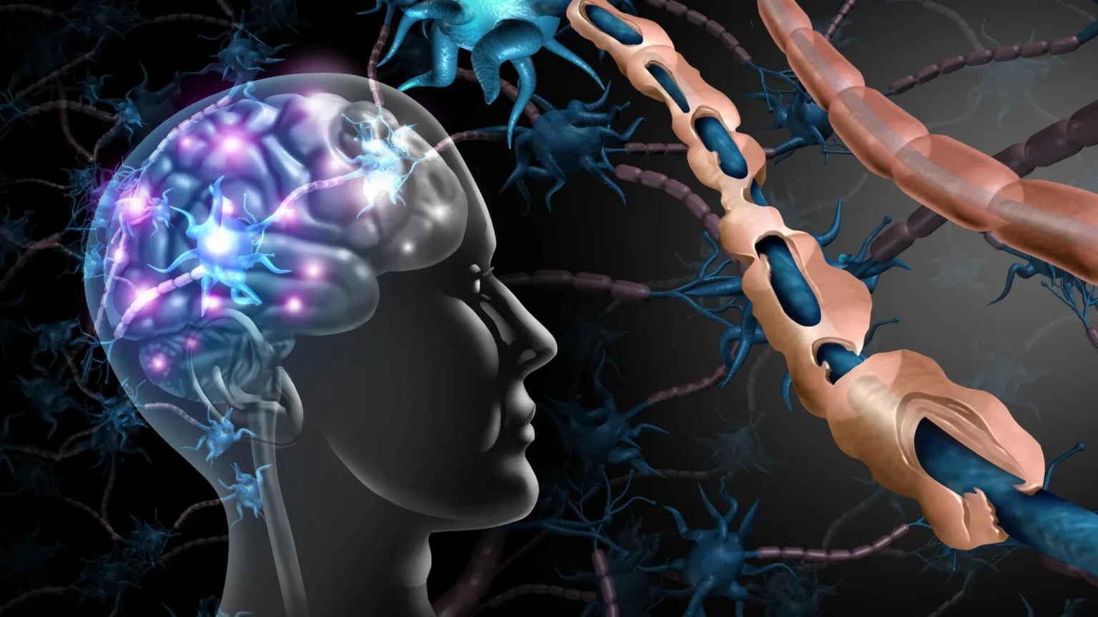Brain cells protect may be promoting cognitive decline